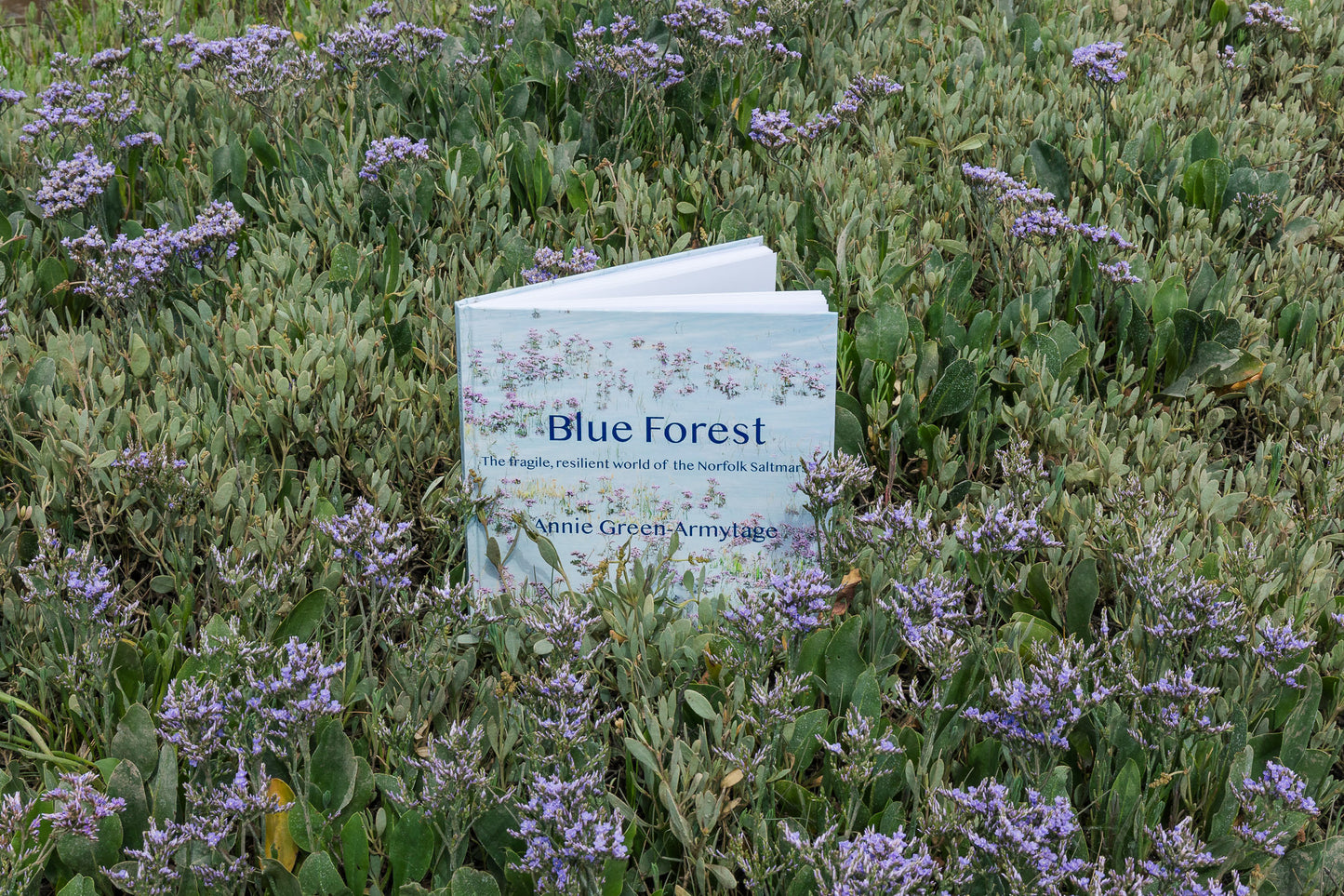 Blue Forest: the fragile, resilient world of the Norfolk Saltmarsh
