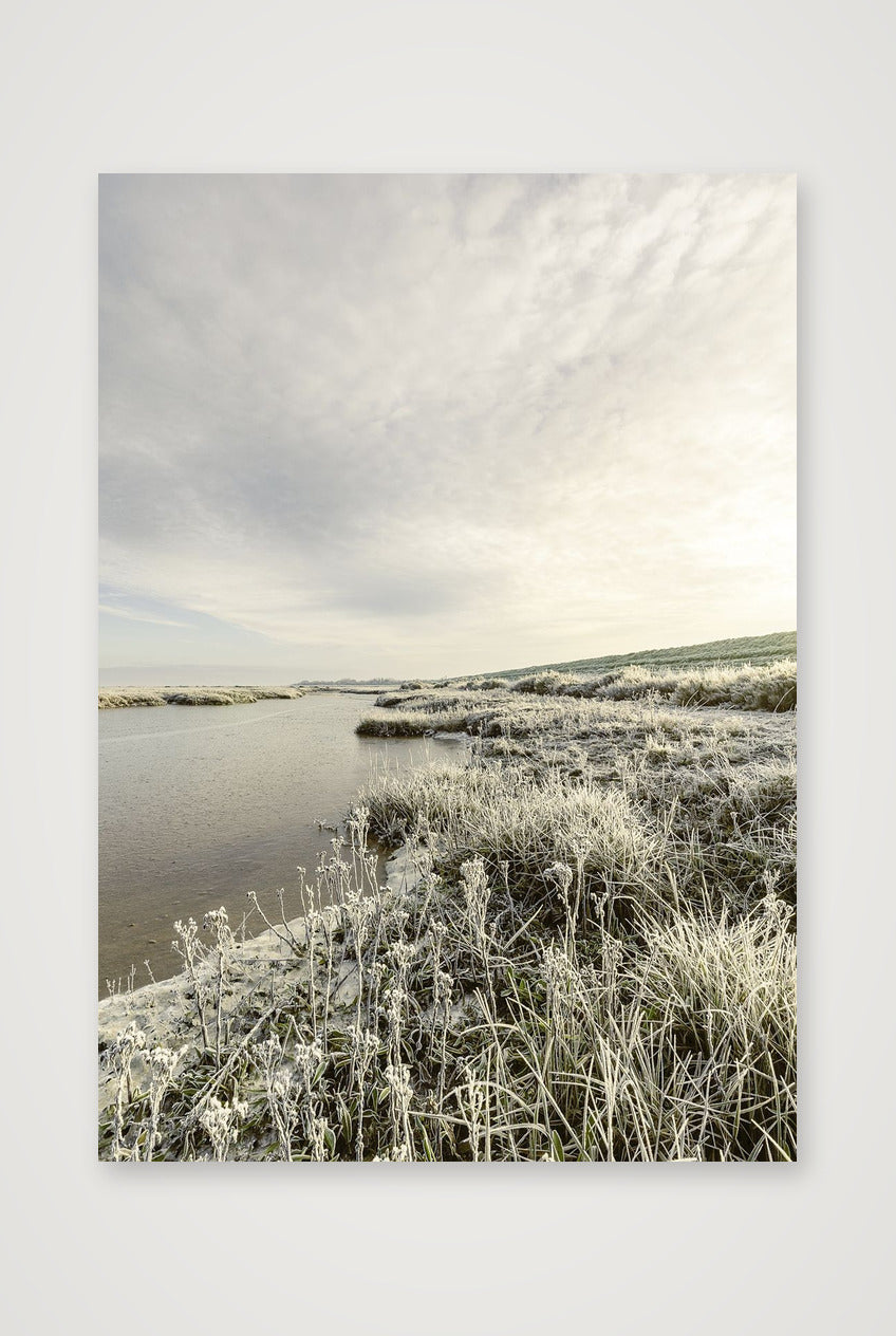 29180fujimatt_2x3 — A4 (21×30cm, 8×12") Print only