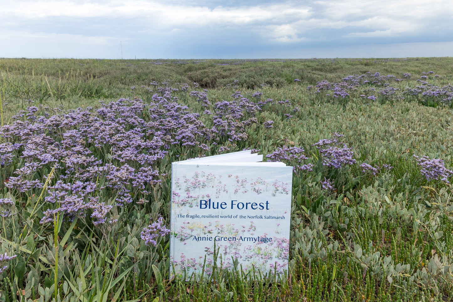 Blue Forest: the fragile, resilient world of the Norfolk Saltmarsh