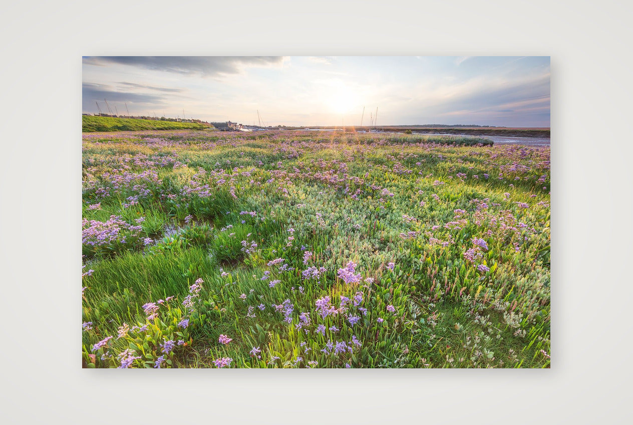 30113-2fujimatt_2x3 — 60×40cm, 24×16" Print only
