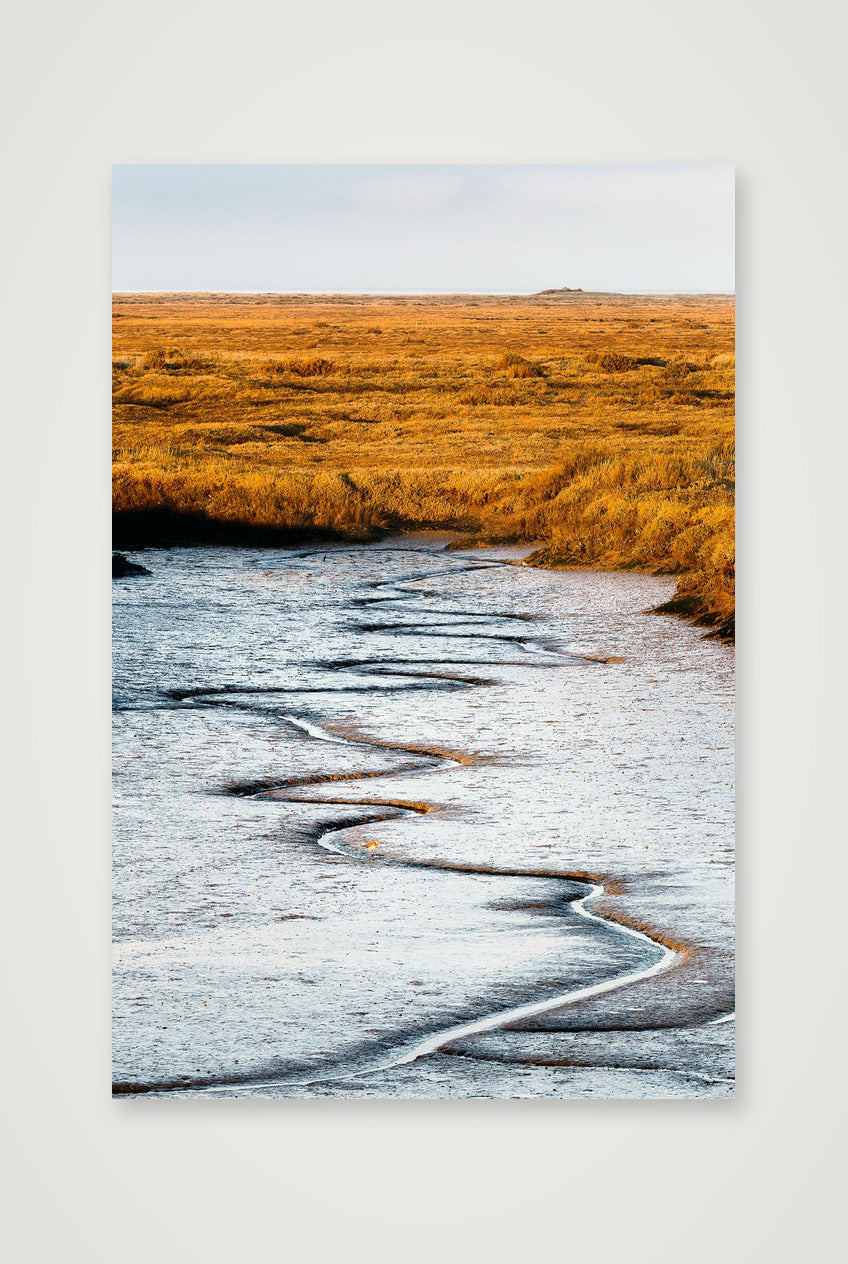 Redshank in the Creek — 30×45cm, 12×18" Print only