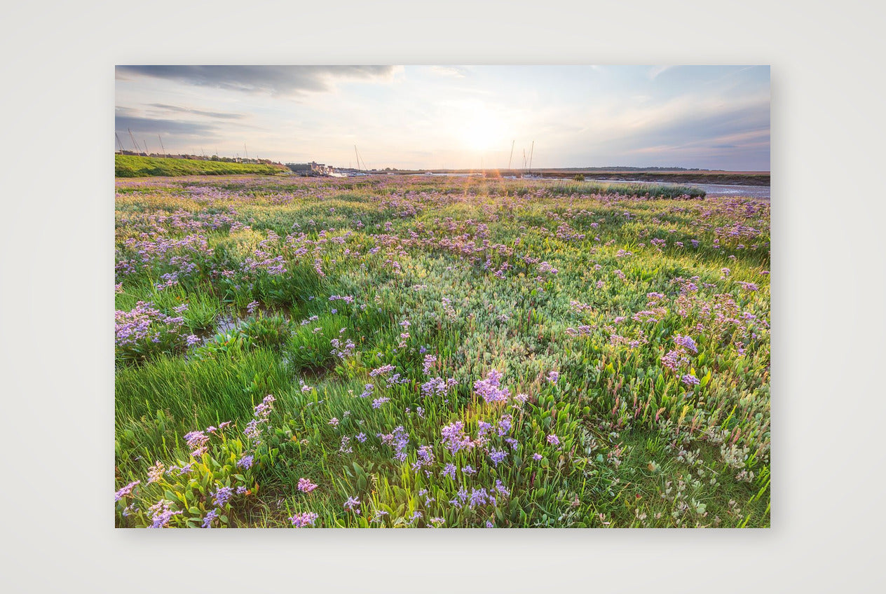 30113-2fujimatt_2x3 — A4 (30×21cm, 12×8") Print only