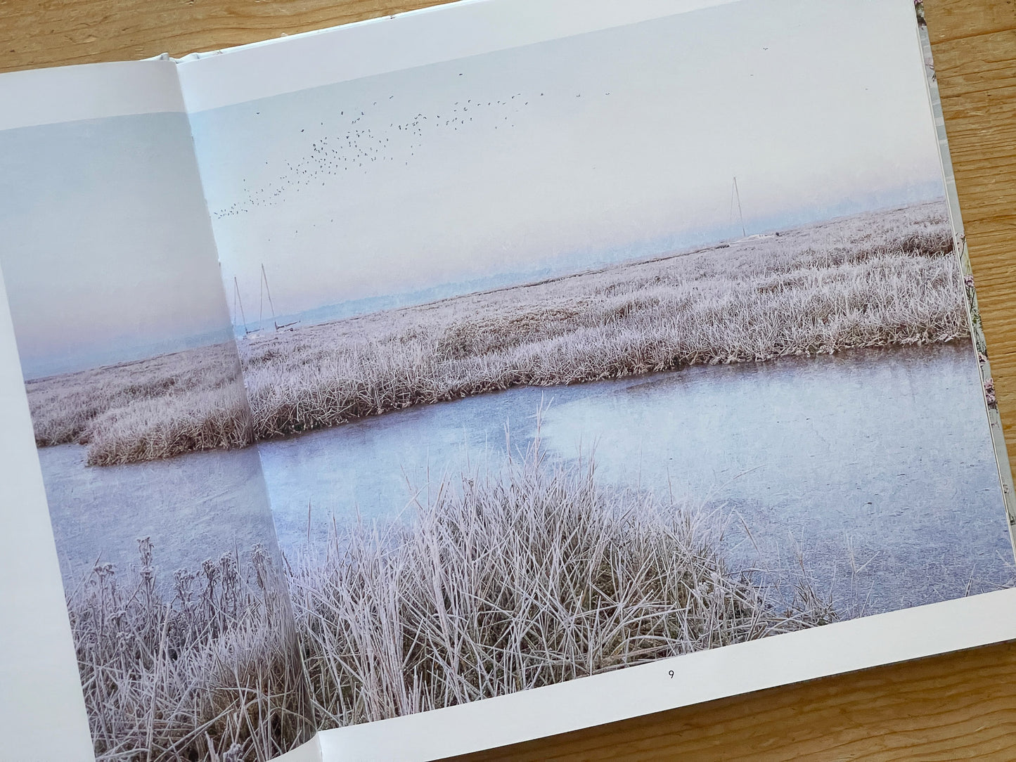 Blue Forest: the fragile, resilient world of the Norfolk Saltmarsh