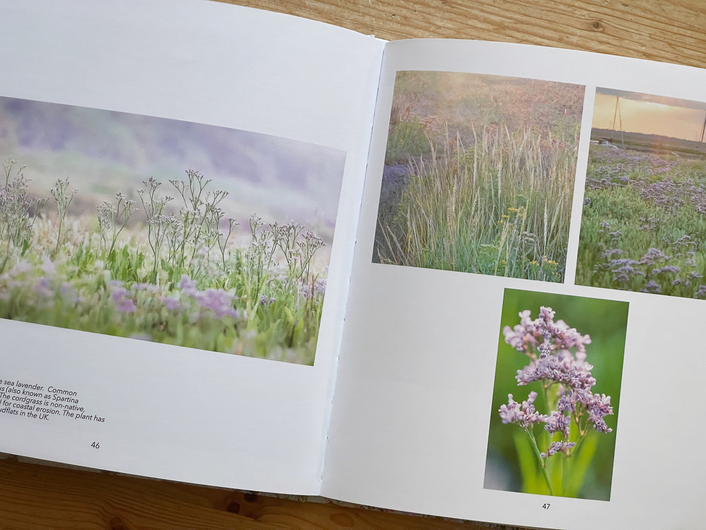 Blue Forest: the fragile, resilient world of the Norfolk Saltmarsh