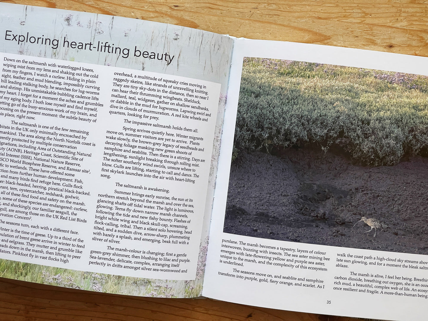 Blue Forest: the fragile, resilient world of the Norfolk Saltmarsh
