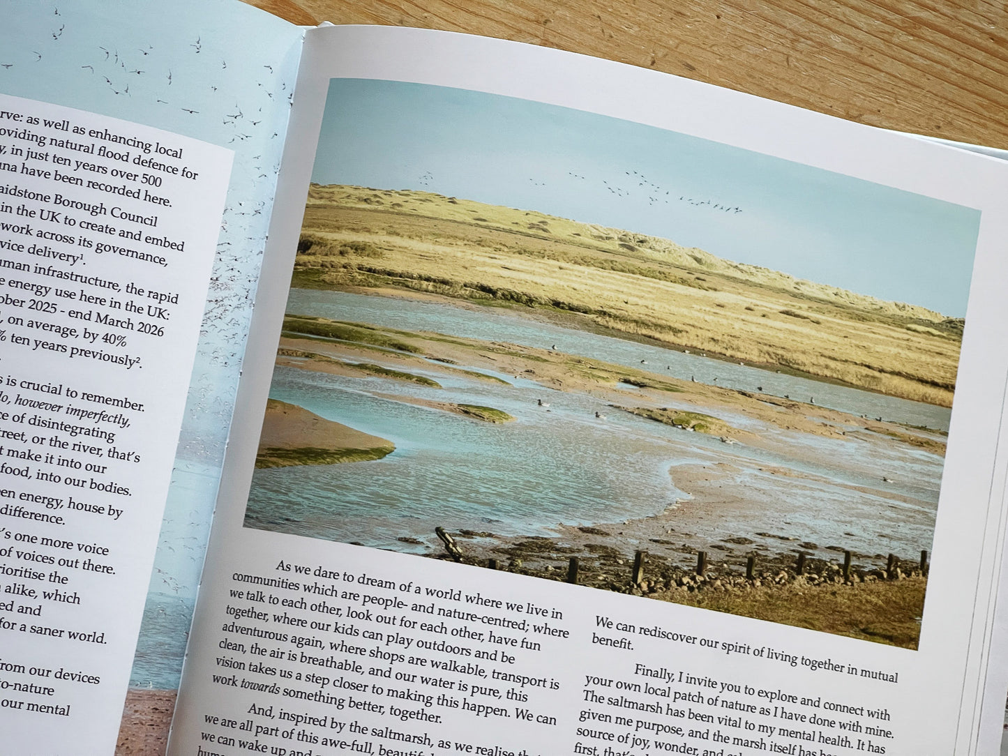 Blue Forest: the fragile, resilient world of the Norfolk Saltmarsh