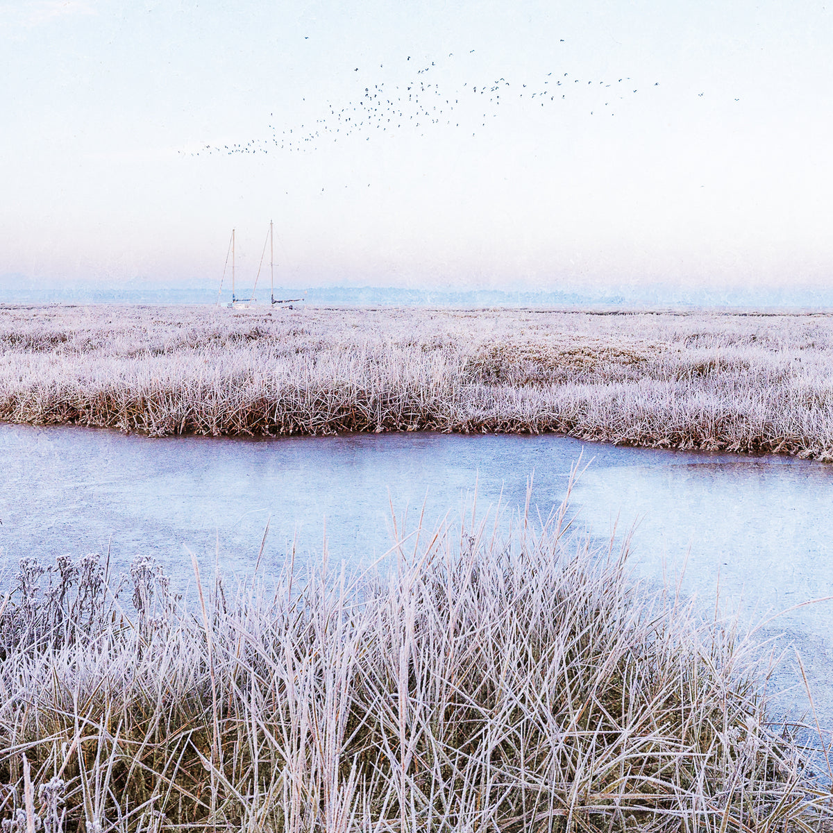 Greetings Cards - Winter Collection