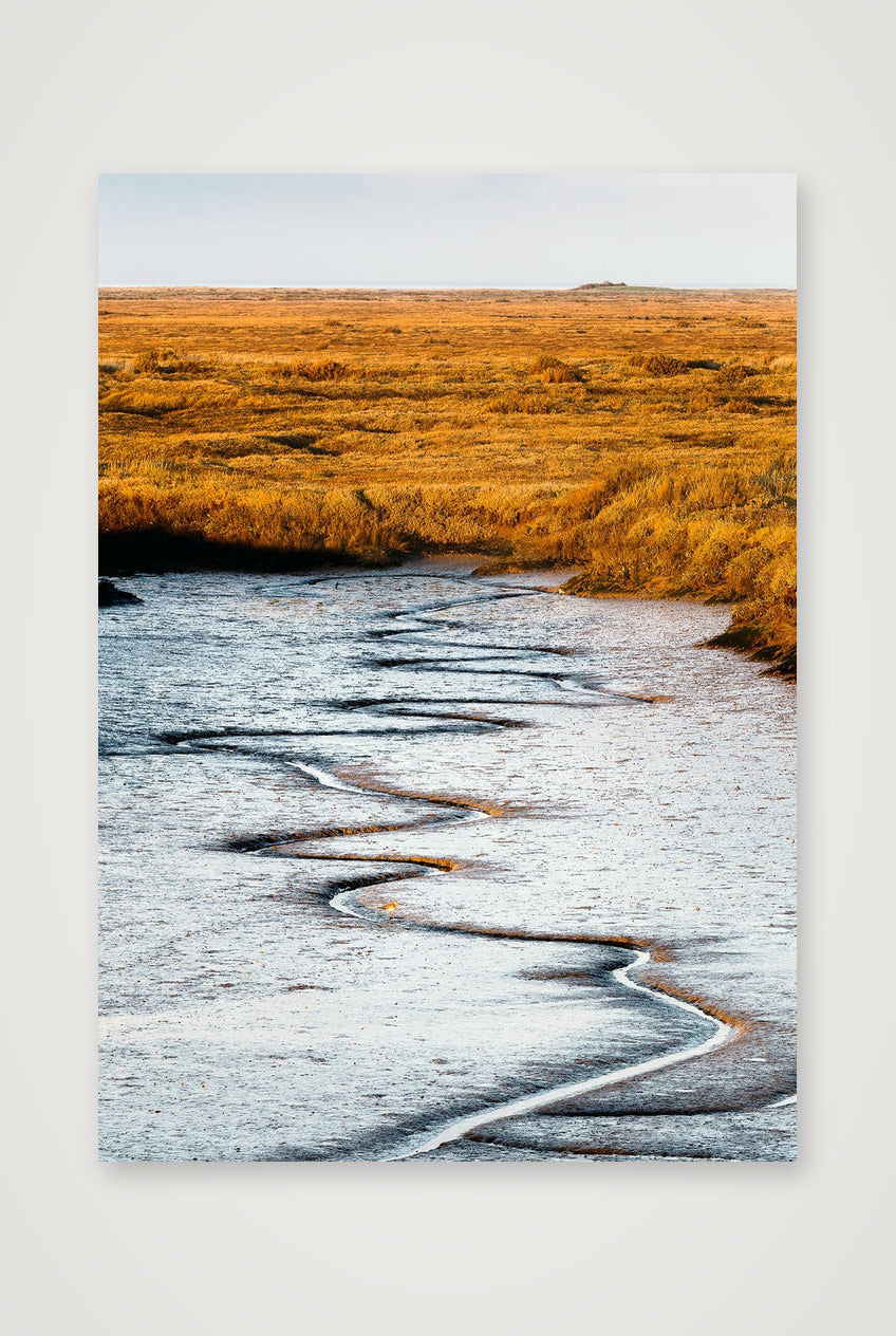 Redshank in the Creek — A4 (21×30cm, 8×12") Print only